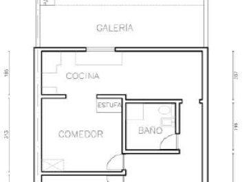 planta 